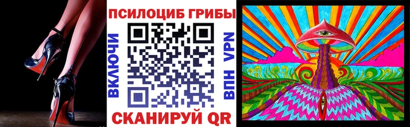Псилоцибиновые грибы Psilocybe  наркота  Волгоград 