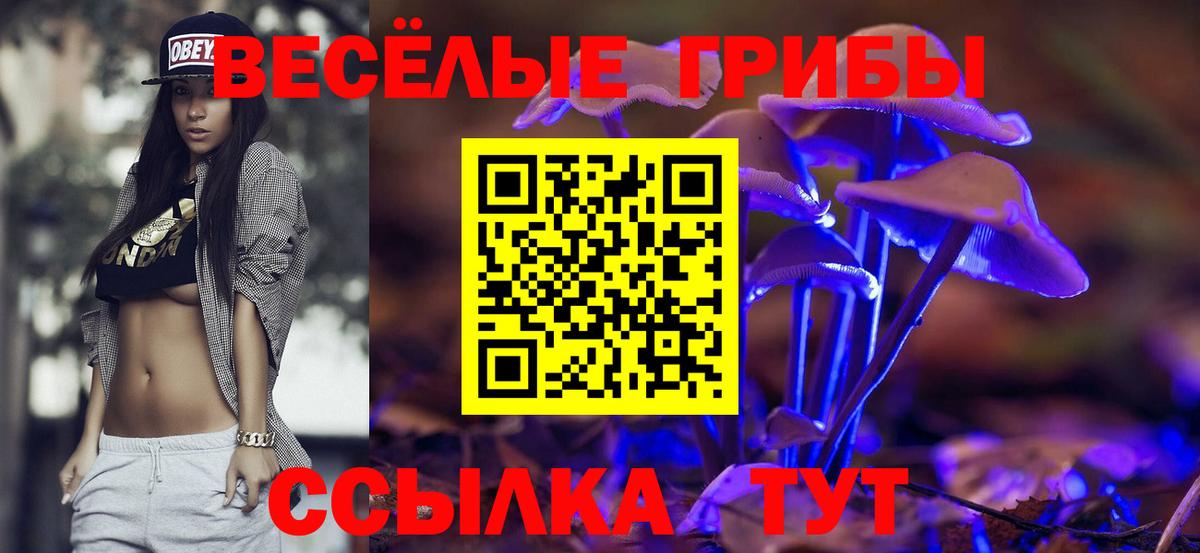 Псилоцибиновые грибы Cubensis Волгоград